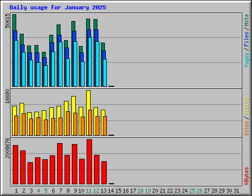 Daily usage for January 2025