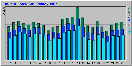 Hourly usage for January 2025