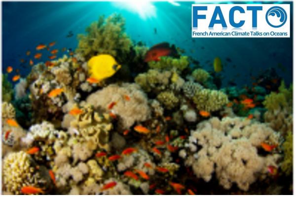 Impact du changement climatique sur les récifs coralliens et la biodiversité marine