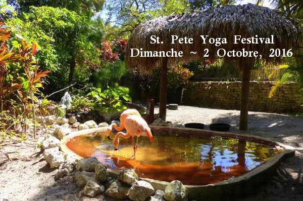 À ne pas manquer le St. Pete Yoga Festival