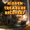 Hidden Treasures Recovery