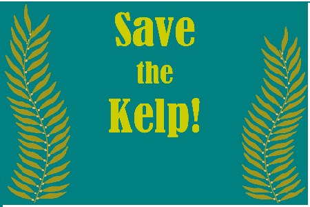 Save the Kelp