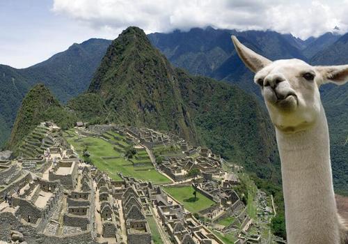 Le Machu Picchu est à nouveau ouvert aux visiteurs après 25 jours de fermeture!