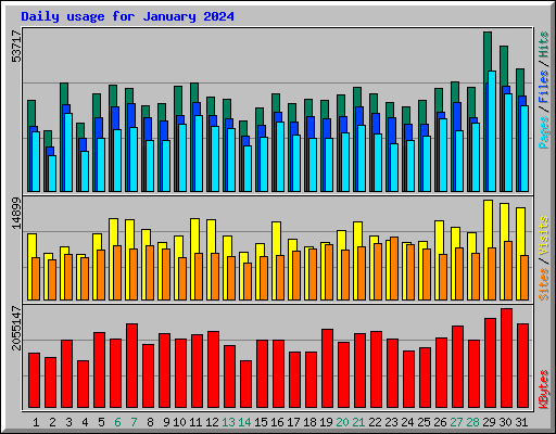 Daily usage for January 2024