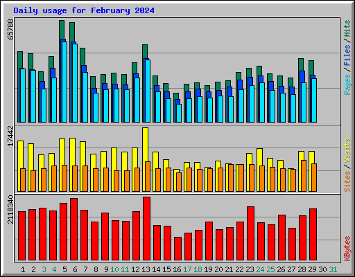 Daily usage for February 2024