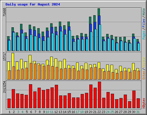 Daily usage for August 2024