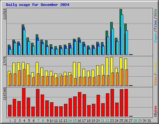 Daily usage for December 2024