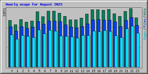 Hourly usage for August 2023