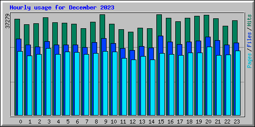 Hourly usage for December 2023