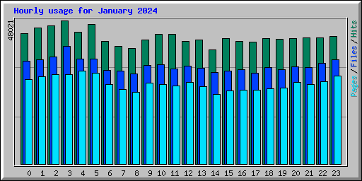 Hourly usage for January 2024