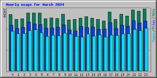 Hourly usage for March 2024