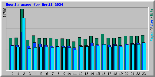 Hourly usage for April 2024