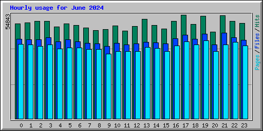 Hourly usage for June 2024