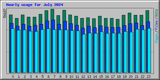 Hourly usage for July 2024