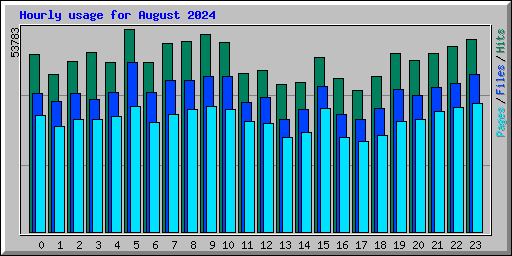 Hourly usage for August 2024