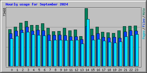 Hourly usage for September 2024