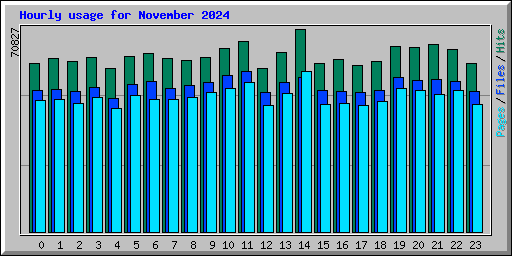 Hourly usage for November 2024