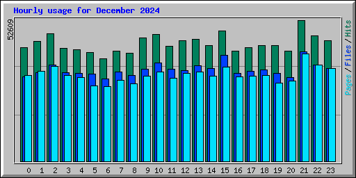 Hourly usage for December 2024