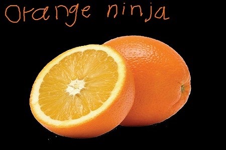 Orange Ninja