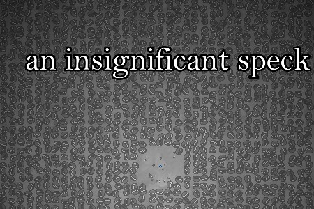 an insignificant speck