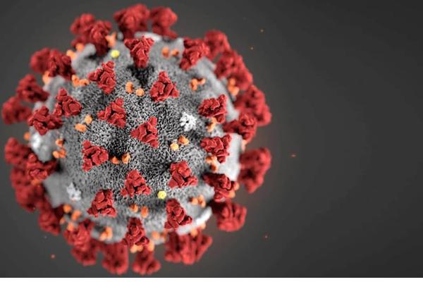 Le Canada compte désormais près de 2800 cas de coronavirus, et 28 personnes en sont mortes.