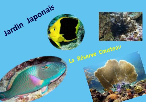 Guadeloupe: Jardin Japonais