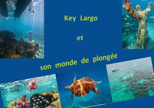 Découvrez la plongée à Key Largo